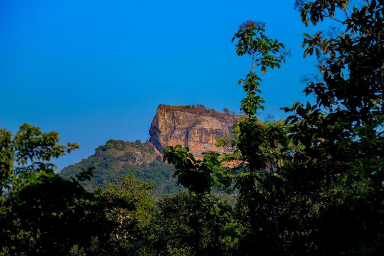 Отель Sigiriya Rock Gate Tree House Экстерьер фото