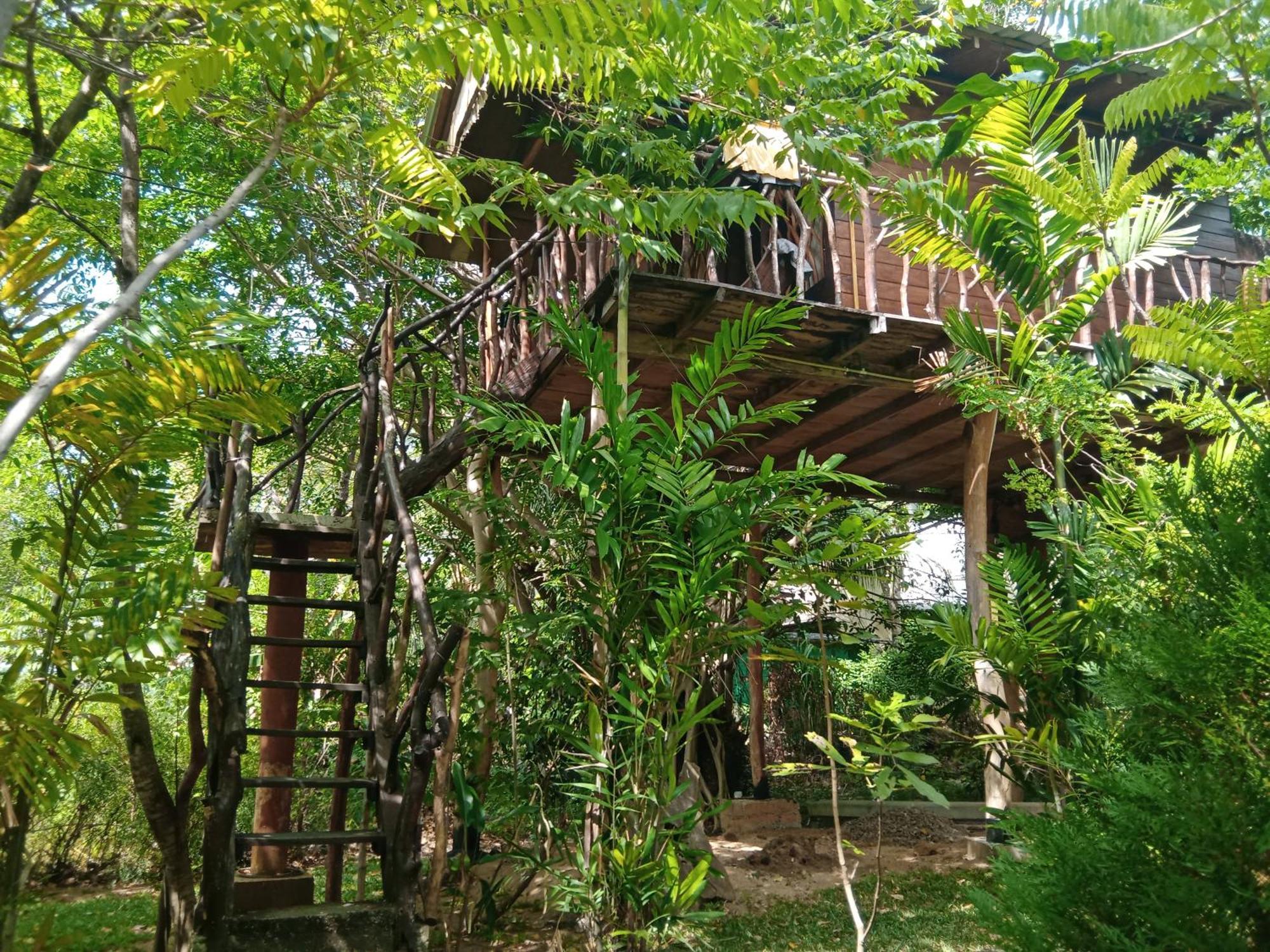 Отель Sigiriya Rock Gate Tree House Экстерьер фото
