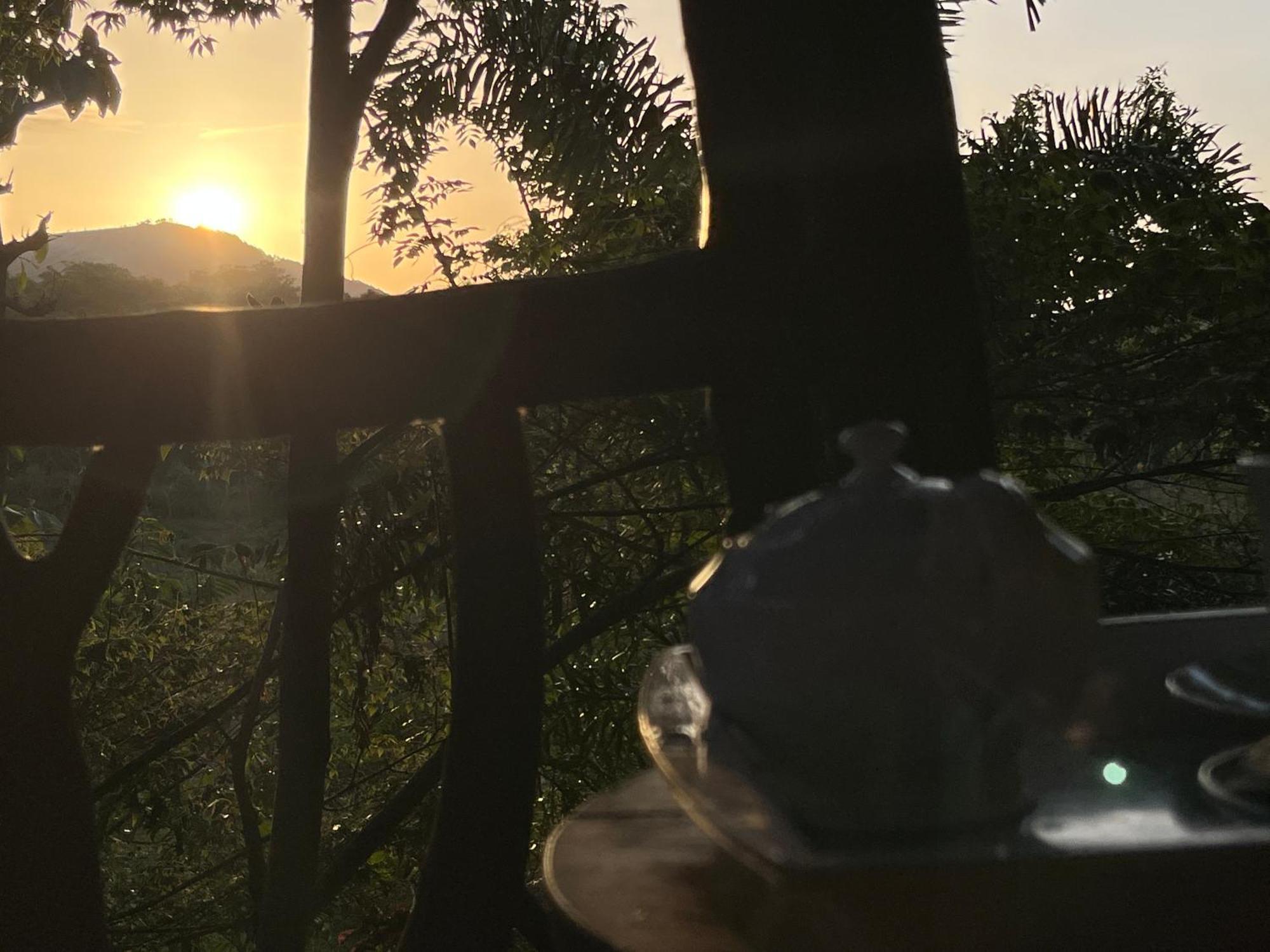 Отель Sigiriya Rock Gate Tree House Экстерьер фото
