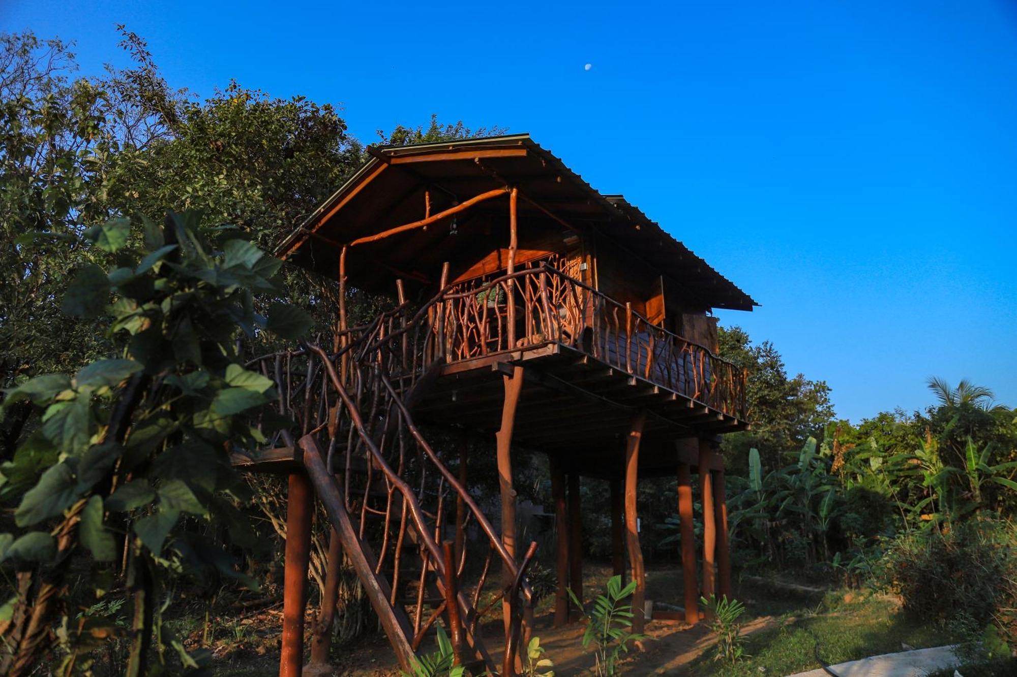 Отель Sigiriya Rock Gate Tree House Экстерьер фото