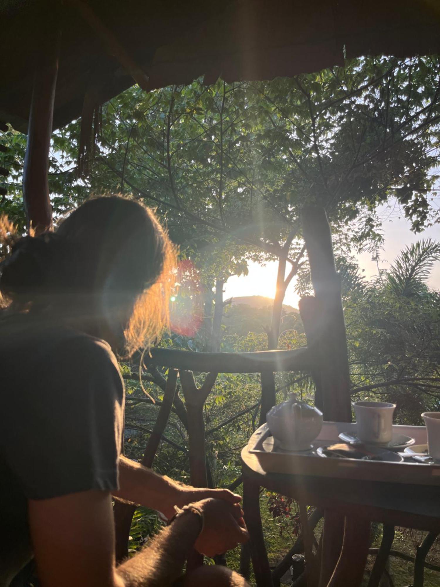 Отель Sigiriya Rock Gate Tree House Номер фото